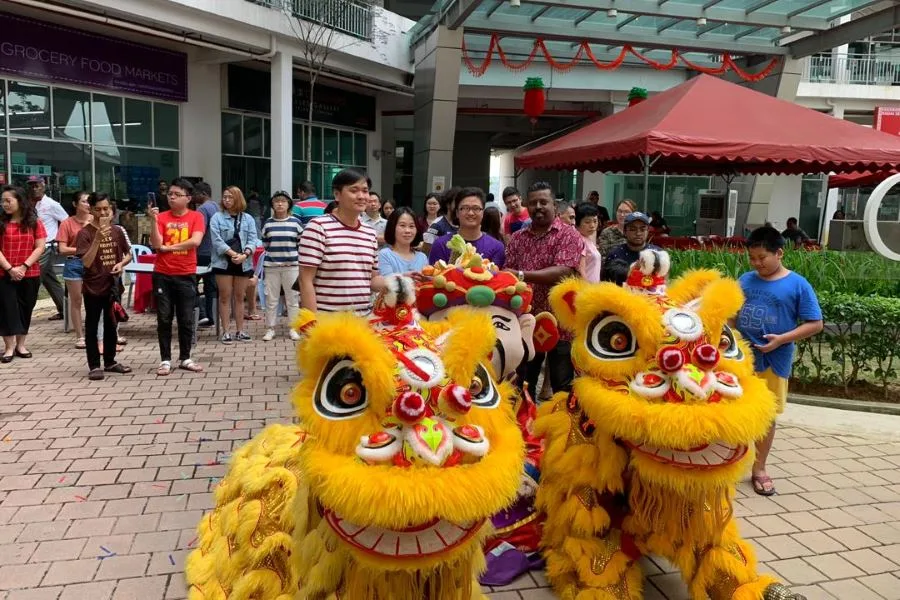 Chinese New Year Celebration — photo 18
