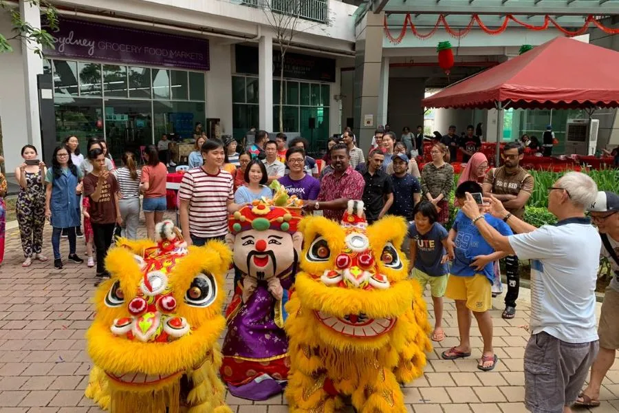 Chinese New Year Celebration — photo 19