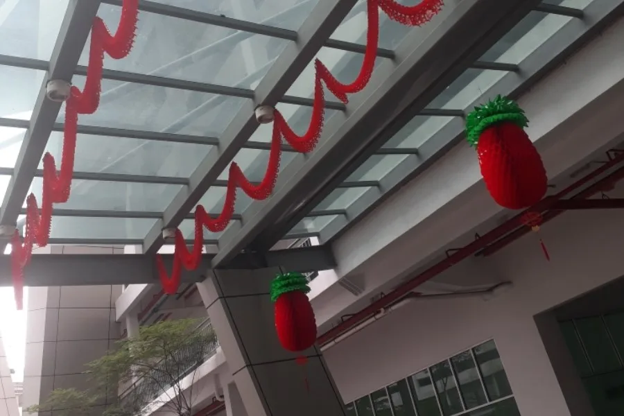 Chinese New Year Celebration — photo 27