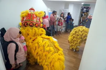 Chinese New Year Celebration — photo 10