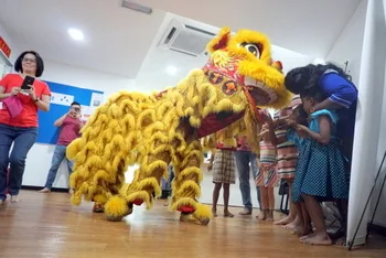 Chinese New Year Celebration — photo 20