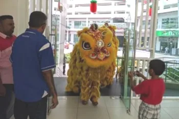 Chinese New Year Celebration — photo 27