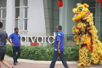 Chinese New Year Celebration — photo 29