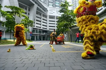 Chinese New Year Celebration — photo 38