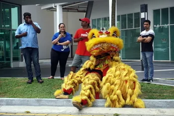 Chinese New Year Celebration — photo 39