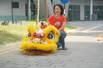 Chinese New Year Celebration — photo 45