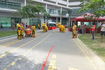 Chinese New Year Celebration — photo 51