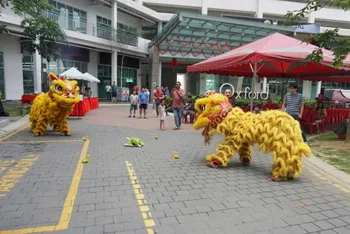 Chinese New Year Celebration — photo 52