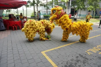 Chinese New Year Celebration — photo 54