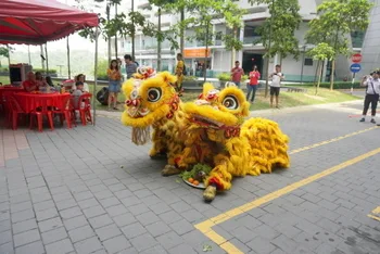 Chinese New Year Celebration — photo 55