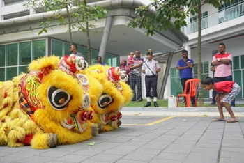 Chinese New Year Celebration — photo 57