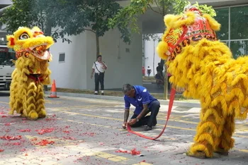 Chinese New Year Celebration — photo 73